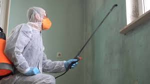 Best Asbestos and Lead Testing During Mold Inspection in USA